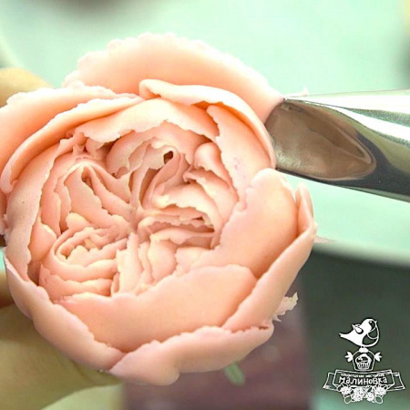 Кондитерские насадки лепесток розы изогнутый №120, 121, 122, 123 Tulip™ | набор 4 шт | средний размер Кондитерские насадки лепесток розы изогнутый №120, 121, 122, 123 Tulip™ | набор 4 шт | средний размер