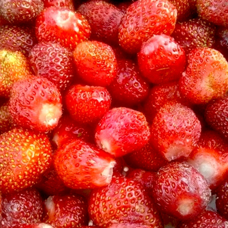 Клубника сублимированная (порошок) Клубника сублимированная (порошок)